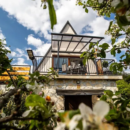 Maison d'hôtes Galaxy6189 4*